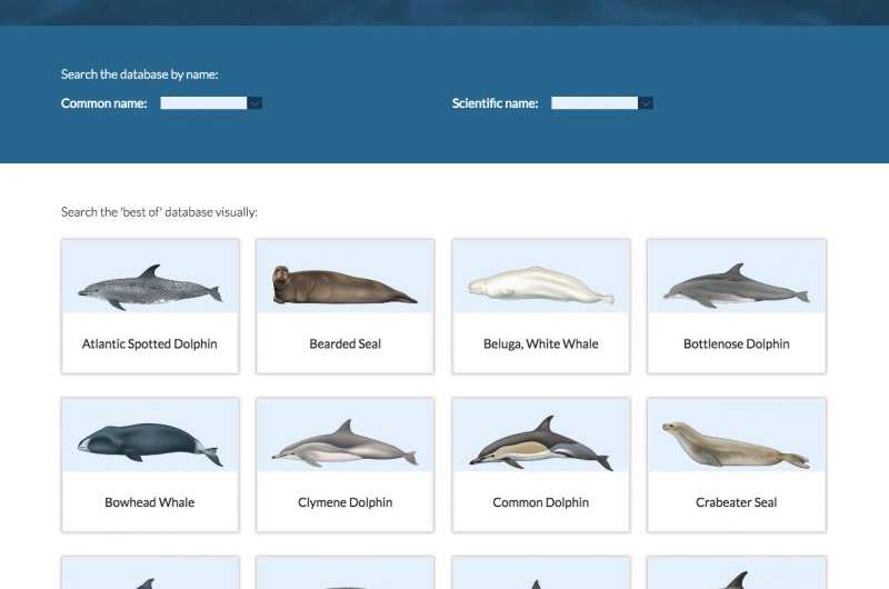 Historic marine mammal sound archive now available online