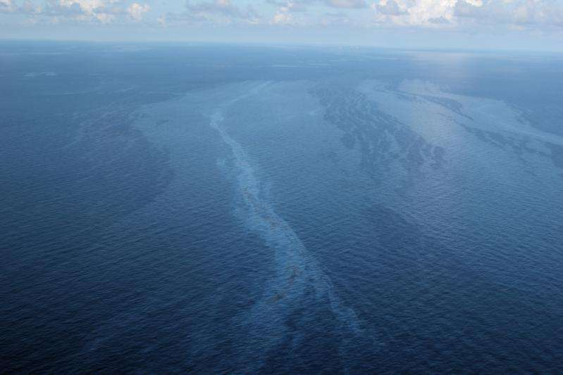 In Gulf Of Mexico, microbes thrive above natural oil seeps