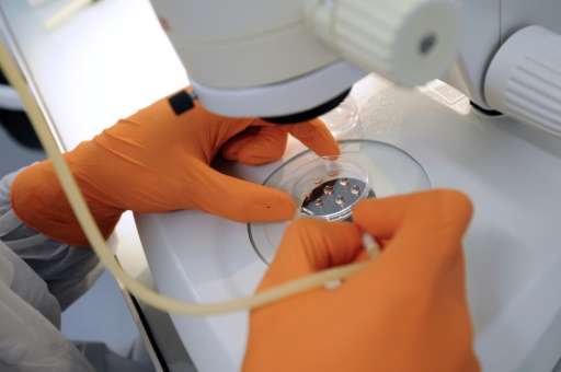 Japanese scientists report a scientific first that may be useful to treat infertility &quot;one day&quot;