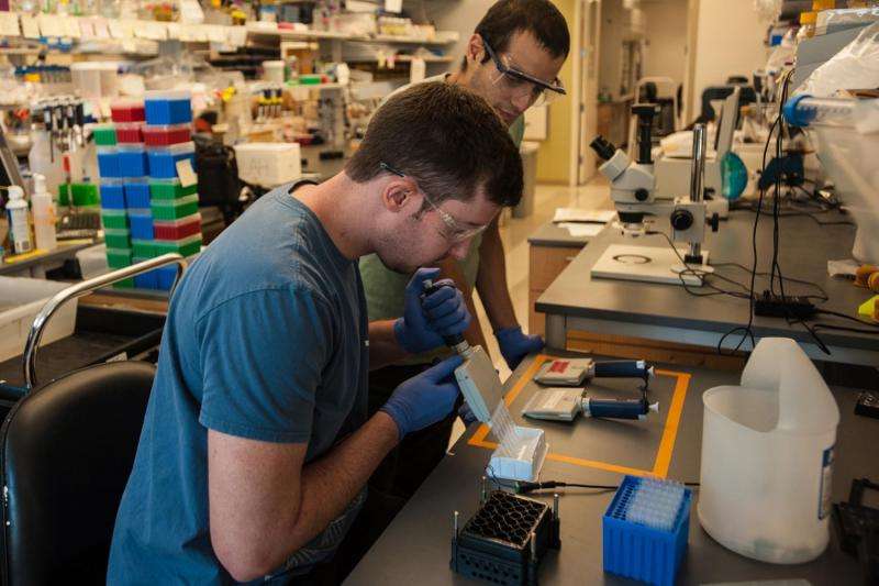 Lab creates open-source optogenetics hardware, software