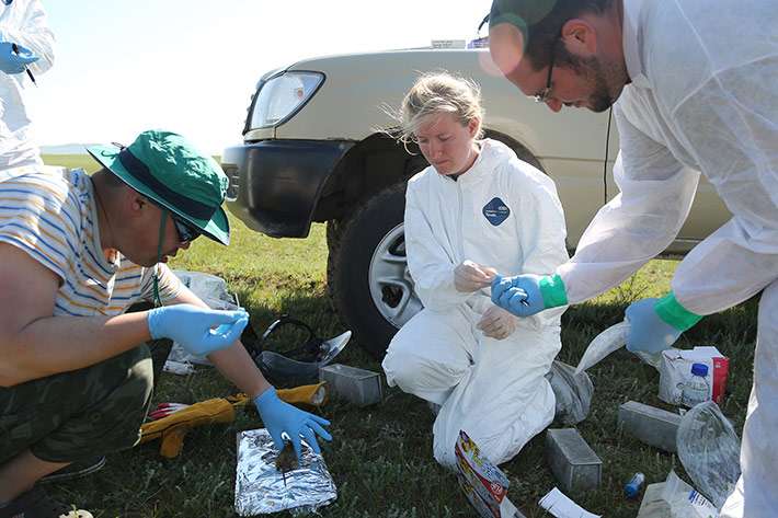 Looking for dangerous pathogens in rural Mongolia
