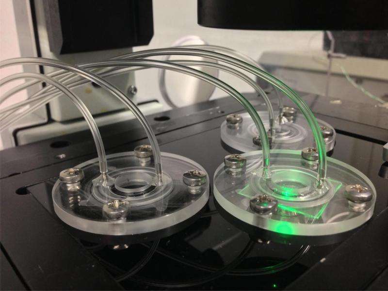 Microreactor replaces animal testing