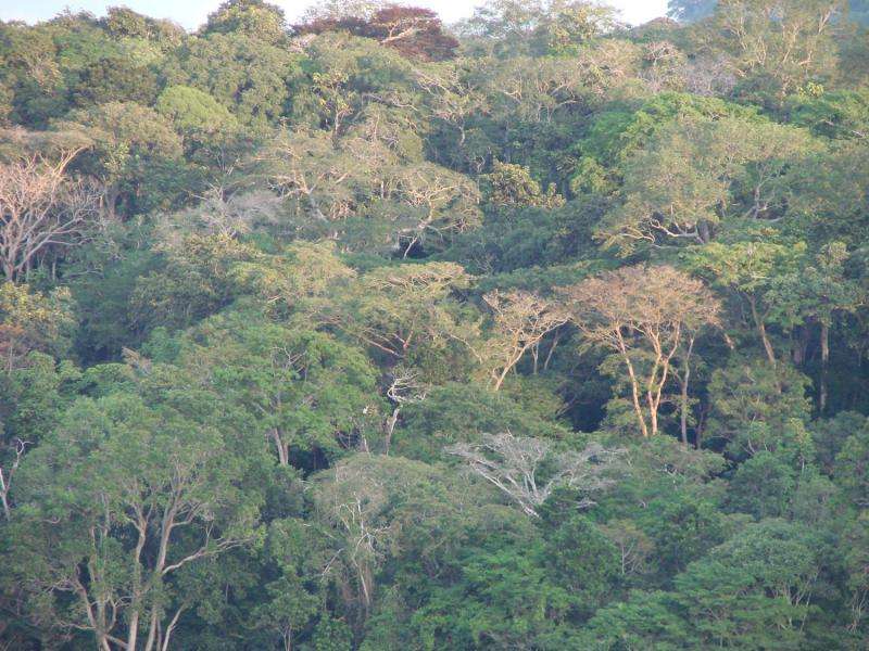 NASA, partner space agencies measure forests in Gabon