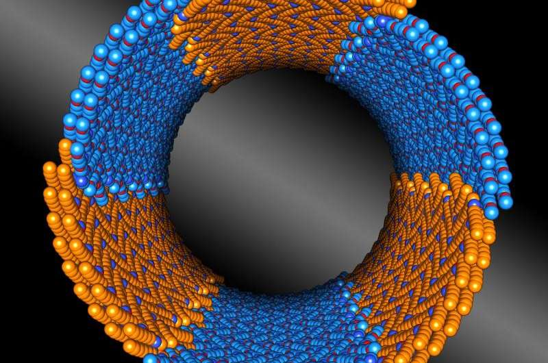 Nature-inspired nanotubes that assemble themselves, with precision