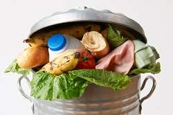 New guidelines and tools to combat food waste