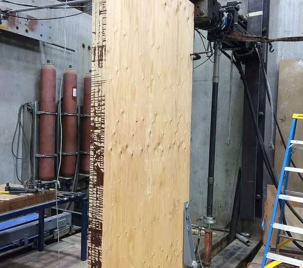 New prototype plywood panels may be world’s largest