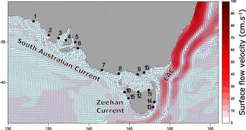 New study maps currents and marine animal movement