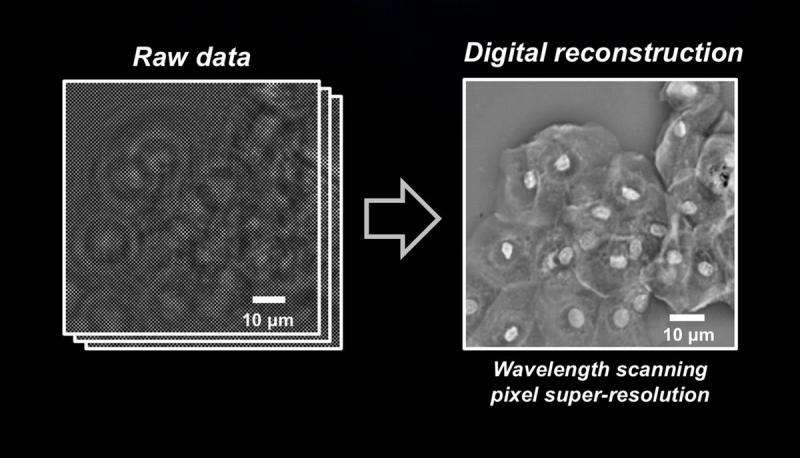 New technique greatly enhances digital microscopy images