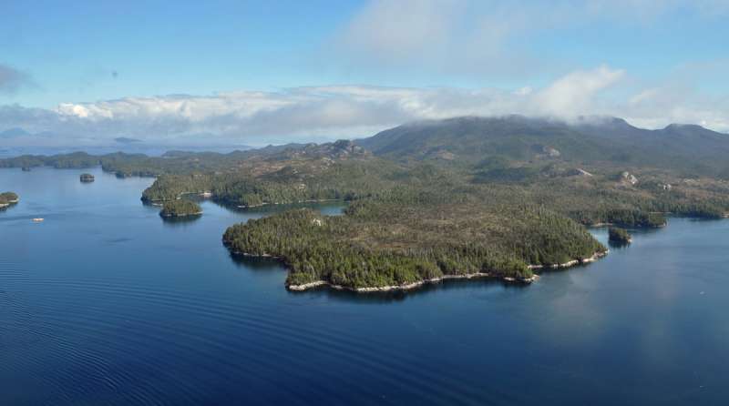 On a wet British Columbia island, historical fires likely were human products