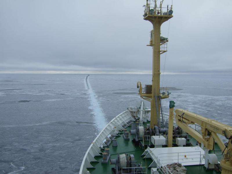 Optimized arctic observations for improving weather forecast in the northern sea route