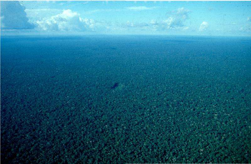 Over-hunting threatens Amazonian forest carbon stocks