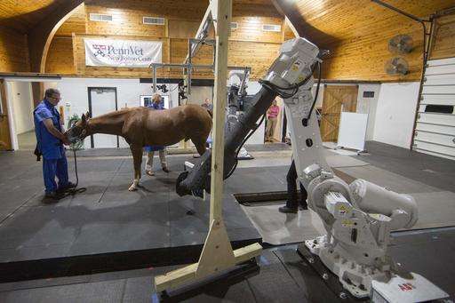 Robotic scan for horses could hold promise for human health