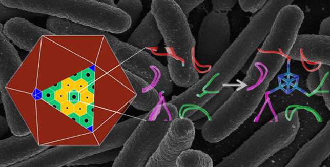 Scientists take key step toward custom-made nanoscale chemical factories