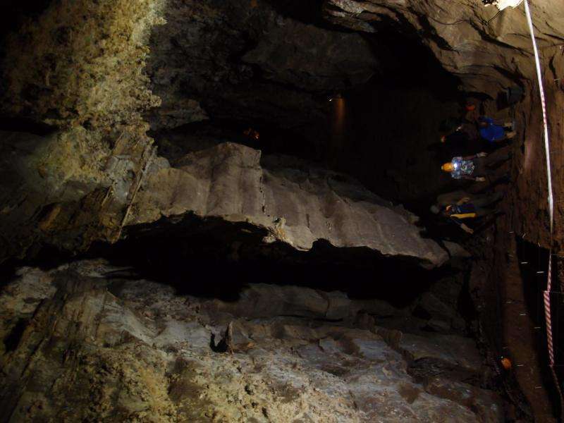 South Africa's Sterkfontein Caves produce 2 new hominin fossils