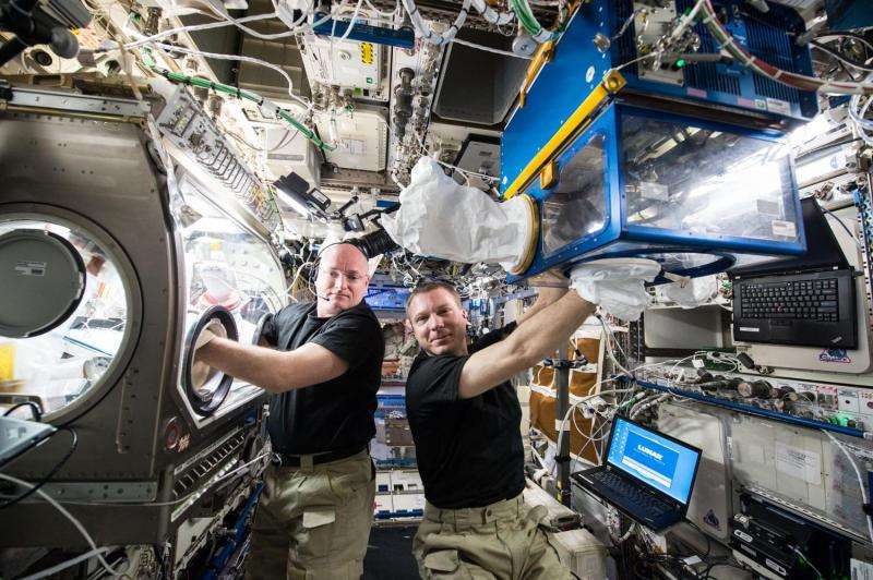 Spaceflight muscle loss study aims to benefit patients on earth