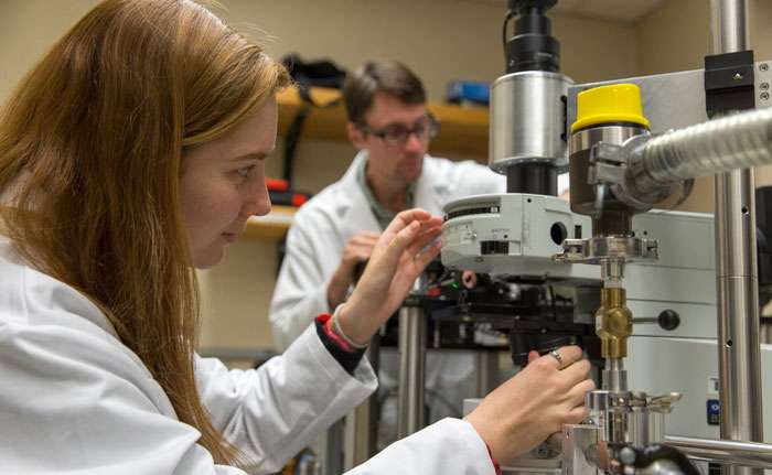 Student researchers shed light on ultrathin materials