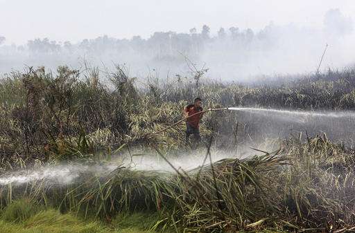 Study estimates 100,000 deaths from Indonesia haze