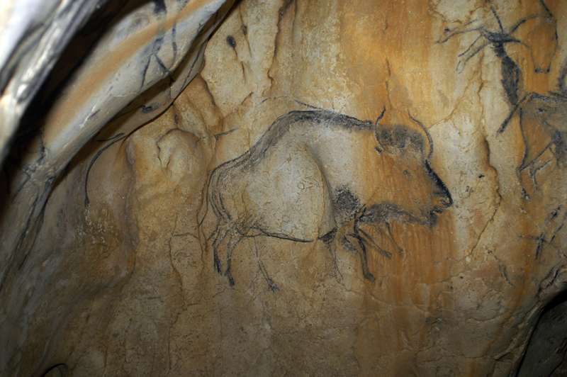 The Higgs Bison -- mystery species hidden in cave art
