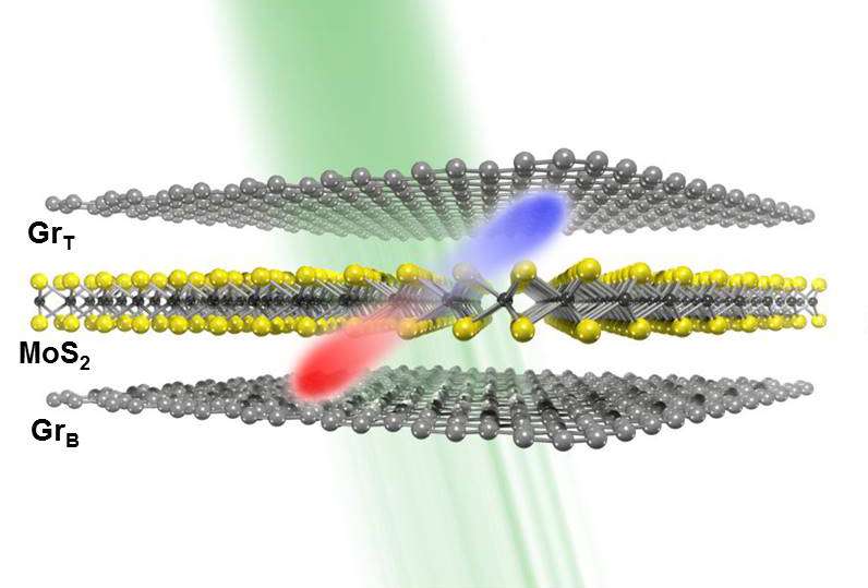 The thinnest photodetector in the world