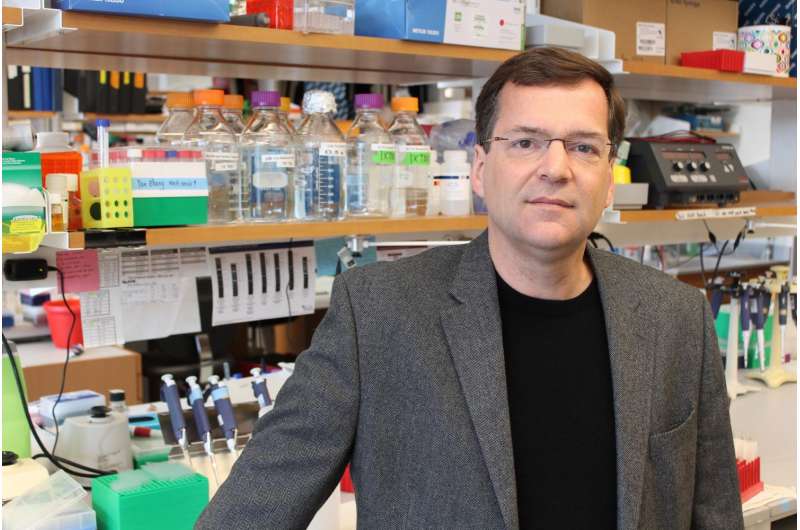 UMMS scientists co-discover first 'off-switches' for CRISPR/Cas9 gene editing
