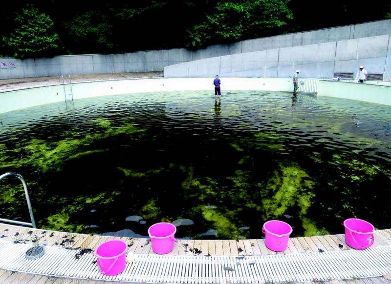 Undergraduate student takes to Twitter to expose illegal release of alien fish in Japan