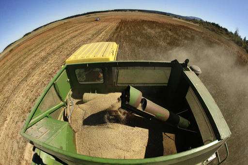 US farmers make foray into quinoa as demand for grain grows