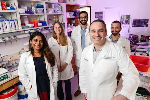 UT Southwestern researchers identify new mechanism of tuberculosis infection