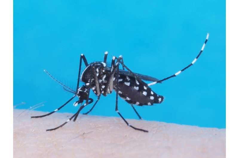 Zika病毒研究生物研究所旨在控制、打蚊子
