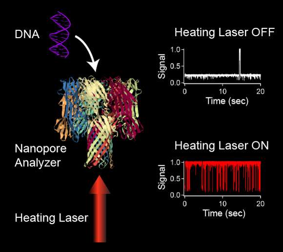 Researchers develop new DNA analysis technique using infrared laser heat