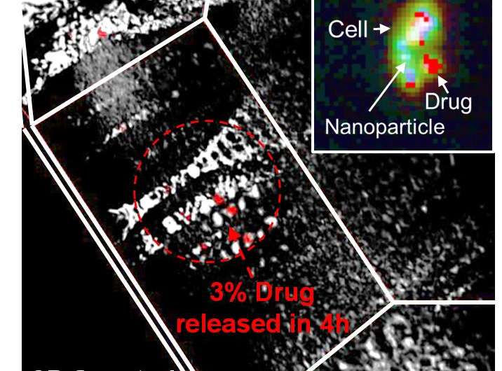 University of Illinois researchers quantify drug delivery from nanoparticles inside a cell