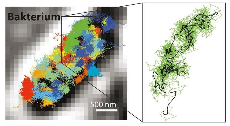 Researchers achieve ultimate resolution limit in fluorescence microscopy