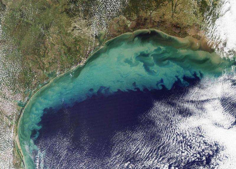 Researchers predict average 'dead zone' for Gulf of Mexico in 2016