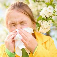 Researchers unlock key to real-time hay fever tracking