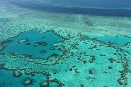 An aerial view of the Great Barrier Reef off the coast of the Whitsunday Islands, along the central coast of Queensland
