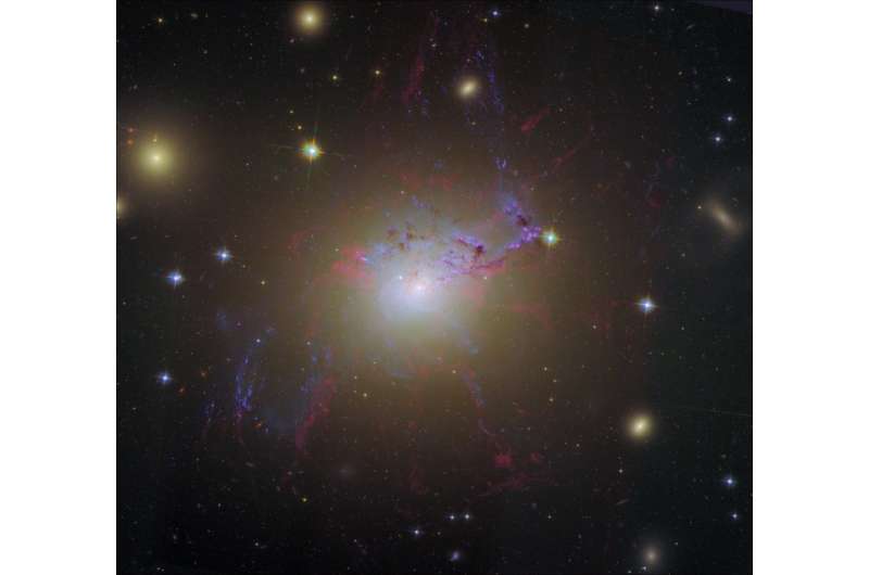 A new look at the galaxy-shaping power of black holes