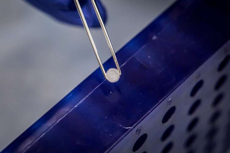An implant to catch metastatic cancer cells before they grow into tumors
