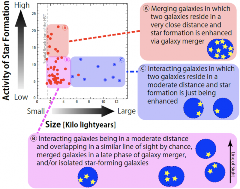 Deciphering compact galaxies in the young universe