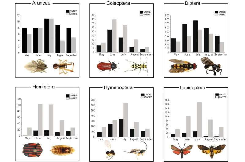 Efficiency of insect biodiversity monitoring via Malaise trap samples and DNA barcoding