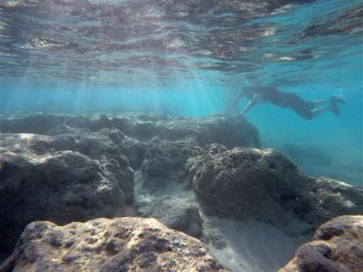 Global coral bleaching event expected to last through 2016