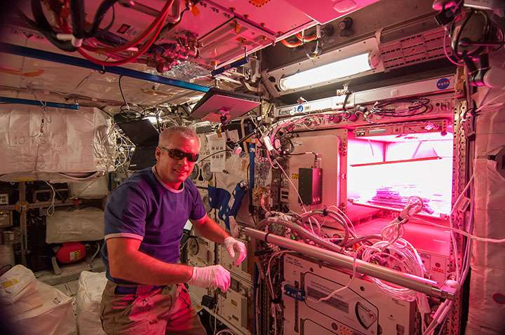 How mold on space station flowers is helping get us to Mars