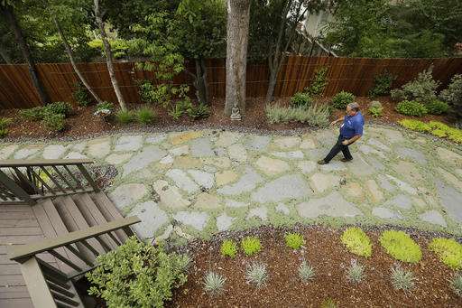 In California, a $350 million social experiment over lawns