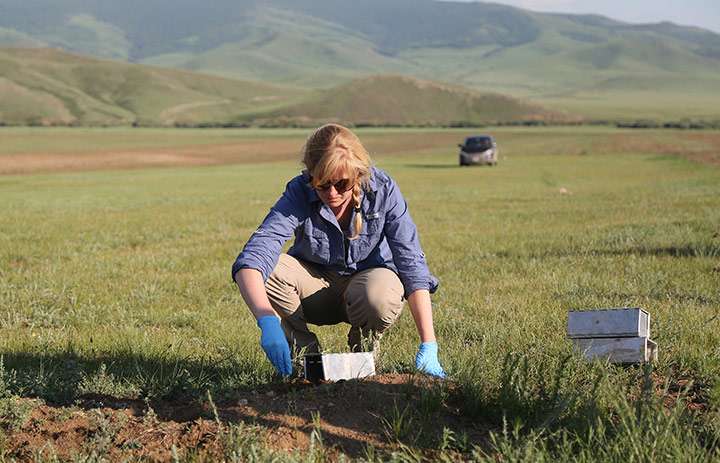 Looking for dangerous pathogens in rural Mongolia