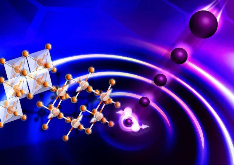 New state of matter detected in a two-dimensional material