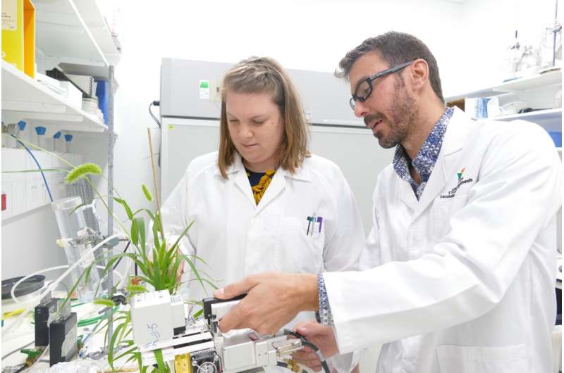 Research to help develop next-generation food crops
