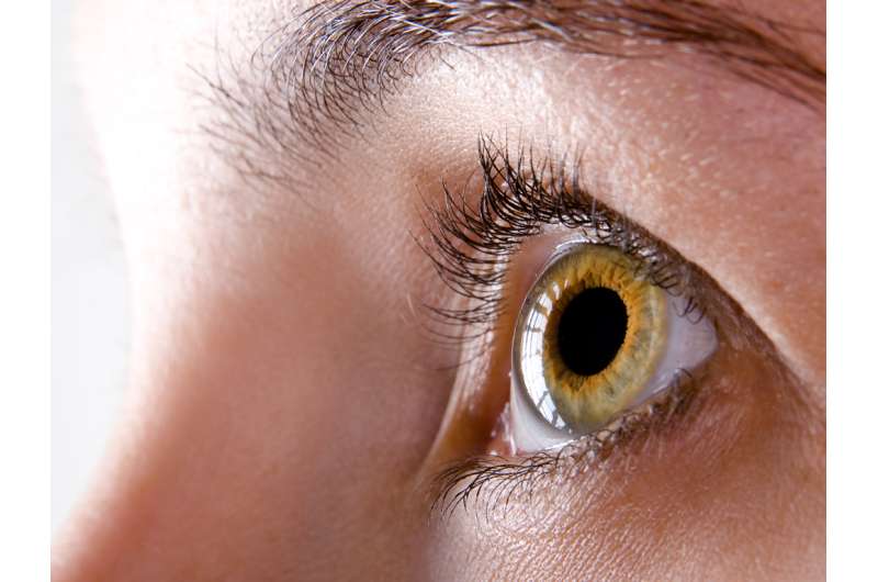 Salk scientists adapt computer program to gauge eye spasm severity