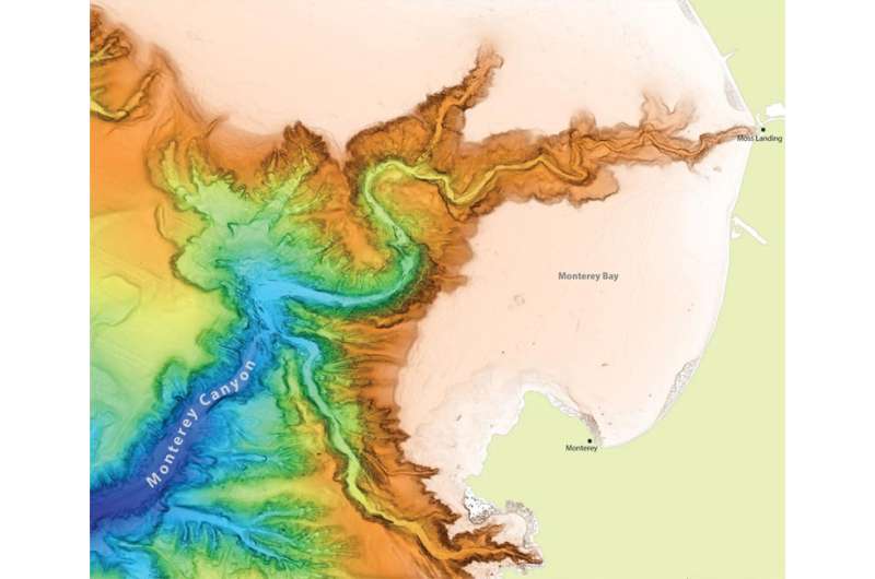 Scientists shed light on powerful currents that create massive underwater canyons