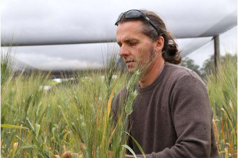 Small molecules to help make SMARTER cereals