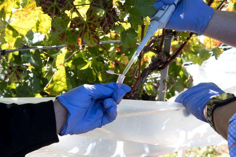 Student start-up reduces toxic threat of pesticides