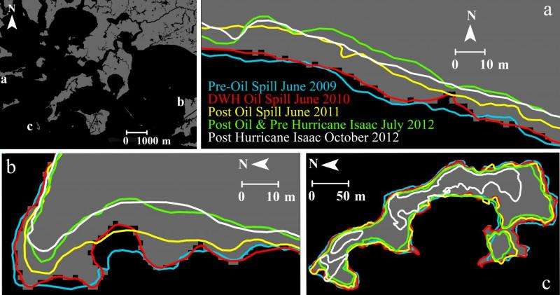Study finds widespread land losses from Gulf of Mexico oil spill