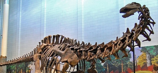 The evolution of sauropod dinosaurs